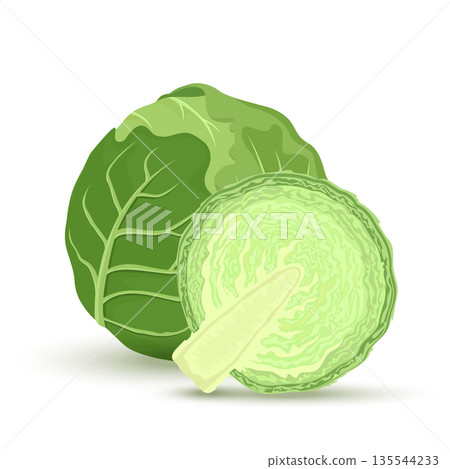 green cabbage and half of cabbage isolated on white background. Vector illustration. ingredients for cooking. green cabbage and half of cabbage isolated on white background. Vector illustration. ingredients for cooking. 135544233