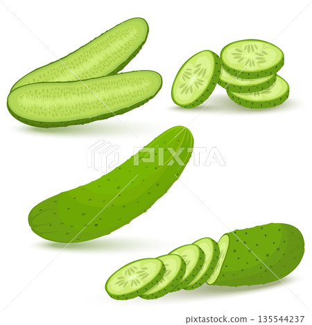 Cucumbers in flat style. Whole cucumber, half, slices and cucumbers group. Fresh farm vegetables collection. Vector illustrations isolated on white background. Cucumbers in flat style. Whole cucumber, half, slices and cucumbers group. Fresh farm vegetables collection. Vector illustrations isolated on white background. 135544237