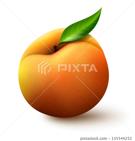 Ripe whole peach fruit with leaf isolated on white background. Realistic vector illustration. 135544252