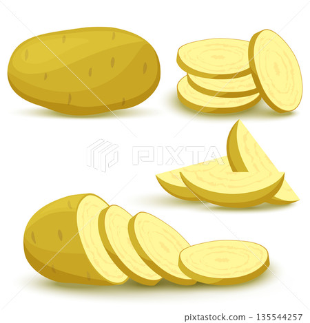 a set of whole potatoes, potato halves and slice. Fresh cartoon of various vegetables isolated on white background, which is used for magazine, book, poster, postcard, menu cover, web pages. 135544257