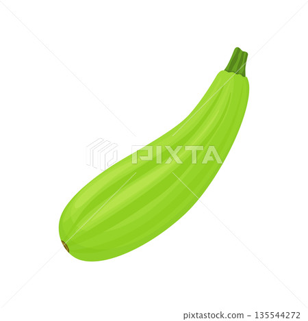 Zucchini is fresh.Vegetable, ingredient, the element of packaging design for food, recipes. Isolated on white vector illustration. flat style 135544272
