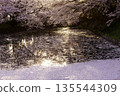 河邊櫻花盛開，花瓣飄落在水面上。 135544309