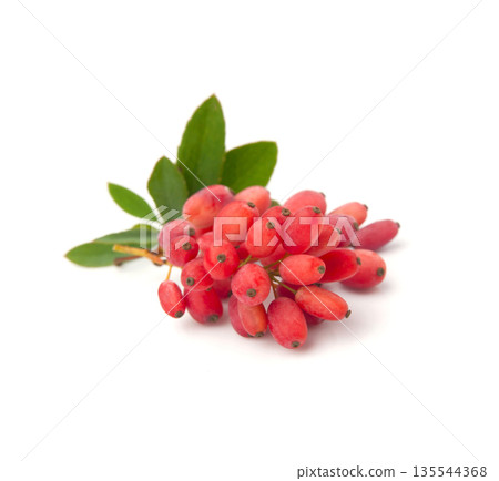 Barberry fruits on white backgrounds 135544368