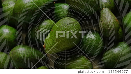 Cluster of whole avocados filling close-up view, showing translucent concentric striped overlay Cluster of whole avocados filling close-up view, showing translucent concentric striped overlay 135544977