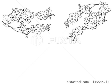 White flower branch monochrome illustration material White flower branch monochrome illustration material 135545212