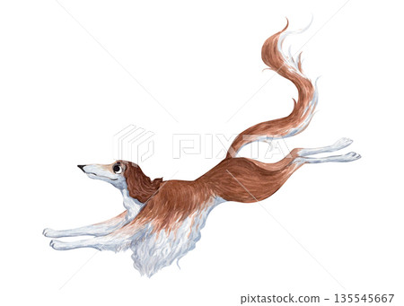 A watercolor illustration of a Russian greyhound A watercolor illustration of a Russian greyhound 135545667