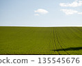 春天，綠油油的麥田和湛藍的天空。 135545676