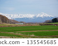 春綠麥田和雪山十勝嶽山脈 135545685