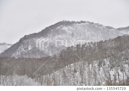 冬季在北海道阿佐部町拍攝白雪皚皚的山林景色 冬季在北海道阿佐部町拍攝白雪皚皚的山林景色 135545720