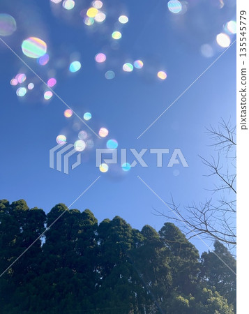 藍天上飛舞的肥皂泡 藍天上飛舞的肥皂泡 135545779