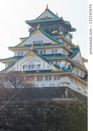 Osaka Castle castle tower Osaka Castle castle tower 135545874