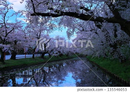 A road paved with cherry blossom petals 135546053