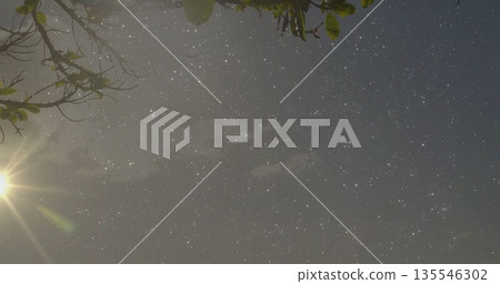 Capturing star field through leafy branches in night woods, with Milky Way band, moon lens flare 135546302