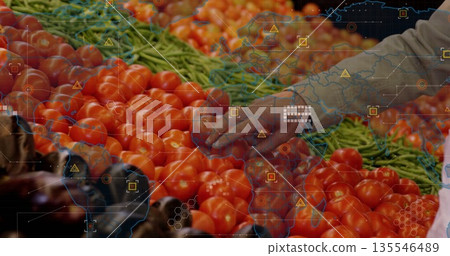 Hand wearing gray shirt picking red tomatoes from crates in market with green beans and eggplants Hand wearing gray shirt picking red tomatoes from crates in market with green beans and eggplants 135546489