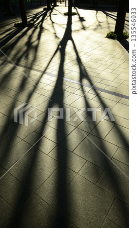 A square bathed in the winter sunshine A square bathed in the winter sunshine 135546933