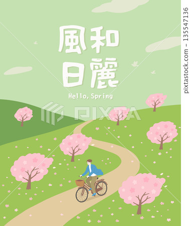 Spring Cherry Blossom Path with Man Riding Bicycle Illustration 135547136