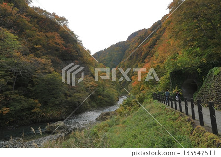 前往十日町清月峽隧道的遊客 135547511