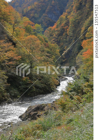 十日町清月峽秋色迷人。 十日町清月峽秋色迷人。 135547513