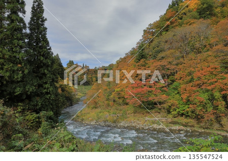十日町清月峽秋季紅葉美景 十日町清月峽秋季紅葉美景 135547524