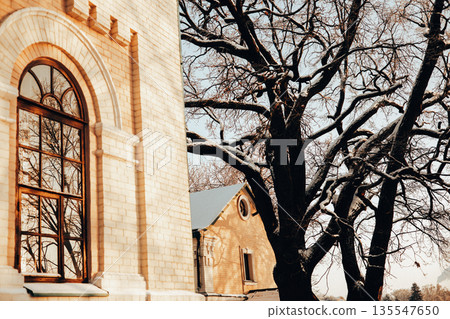 A minimalist shot contrasting classic brick architecture with bare trees and snow in winter. The warm sunlight creates a moody light and shadow play, perfect for travel concepts and historical designs A minimalist shot contrasting classic brick architecture with bare trees and snow in winter. The warm sunlight creates a moody light and shadow play, perfect for travel concepts and historical designs 135547650