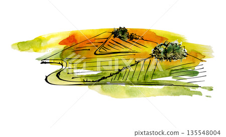 Pastoral view, scenery of layered hills, farmland mosaics of Tuscany, Provence, California hand drawn in watercolor with ink line. Illustration for eco tourism, nature magazines, artisan food labels. 135548004