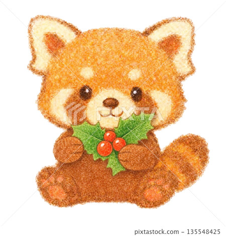 【聖誕節】色鉛筆插畫，一隻小熊貓拿著一片冬青葉。 135548425