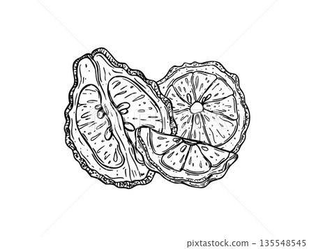 Juicy bergamot fruit slices line art black ink sketch. Monochrome Asian sliced citrus vector isolated illustration. Kaffir lime composition for menu, cosmetic packaging, food ingredient 135548545