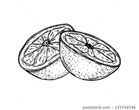 Monochrome orange cut into two halves vector isolated illustration painted by black inks. Juicy citrus fruit etching drawing for healthy food design, cosmetics packaging 135548546