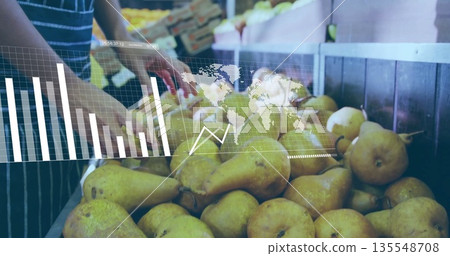 Sorting striped-apron clerk checking yellow-green pears in wooden crate at market with data overlay Sorting striped-apron clerk checking yellow-green pears in wooden crate at market with data overlay 135548708