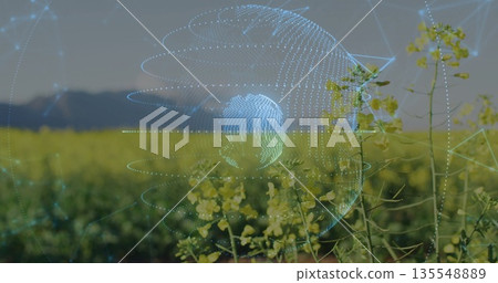 Displaying digital holographic sphere swirling above mustard field on farmland, with network nodes 135548889