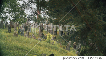 Old ancient Jewish cemetery in summer spring day. Druya, Belarus. green grass and many ancient stones. Headstone Headstones Tombstones jewish grave, forest 135549363