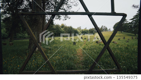 David star on door entrance to jewish grave, Old ancient Jewish cemetery in summer spring day. Druya, Belarus. green grass and many ancient stones. Headstone Headstones Tombstones. 135549375