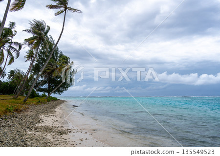 Coral garden beach with turquoise waters and palm trees on Huahine, French Polynesia Coral garden beach with turquoise waters and palm trees on Huahine, French Polynesia 135549523