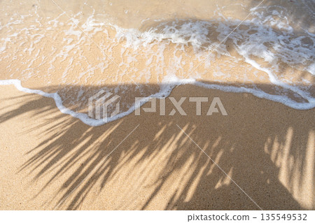 Palm tree shadow on Anaho Beach, Nuku Hiva, French Polynesia 135549532