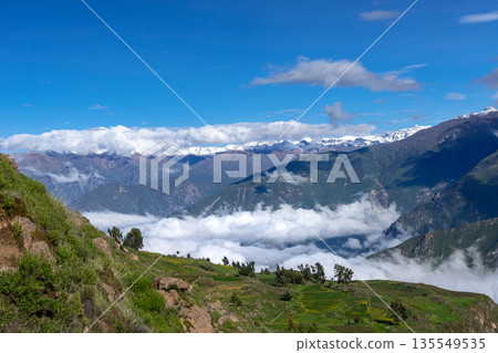 Colca Canyon with a clear blue sky, Peru Colca Canyon with a clear blue sky, Peru 135549535