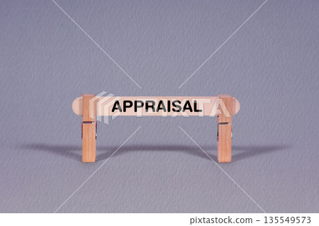 Appraisal symbol. Single Wooden stick restrained by Clothespins, beautiful Gray Background. Business and Appraisal concept with copy space Appraisal symbol. Single Wooden stick restrained by Clothespins, beautiful Gray Background. Business and Appraisal concept with copy space 135549573