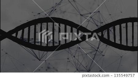 Displaying DNA helix silhouette in abstract digital view with network nodes, lines, labels Displaying DNA helix silhouette in abstract digital view with network nodes, lines, labels 135549757