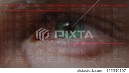 Scanning human eye revealing radial patterns in virtual interface, with digital code logs overlay Scanning human eye revealing radial patterns in virtual interface, with digital code logs overlay 135550107