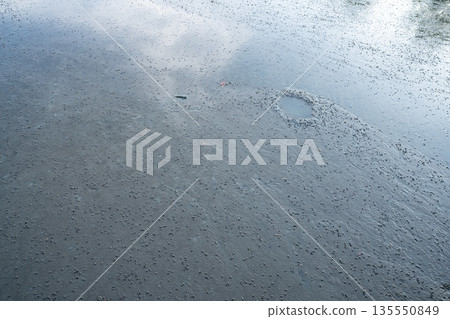 Mangrove wetland mud surface acting as natural carbon capture and storage system. Blue carbon sediment, climate change mitigation process. Coastal ecosystems in long term environmental sustainability. 135550849