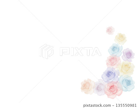 Pastel color rose background material 135550981