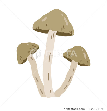 Brown wild mushrooms 135551196