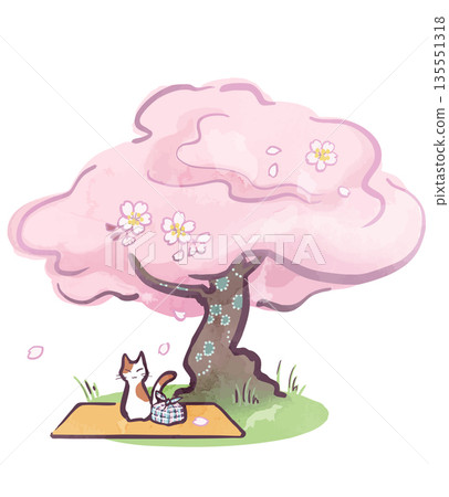 Spring cherry blossom viewing scene - Cherry blossom illustration Spring cherry blossom viewing scene - Cherry blossom illustration 135551318