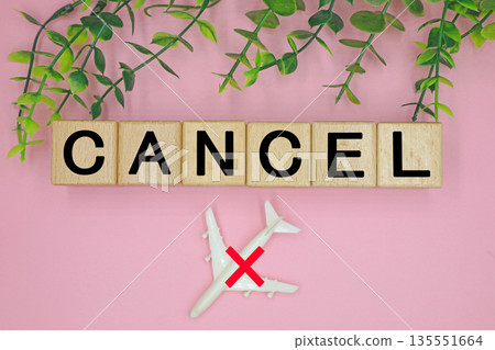 Image of a canceled flight 135551664