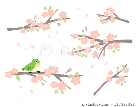 櫻花枝葉春季素材套裝 櫻花枝葉春季素材套裝 135552358