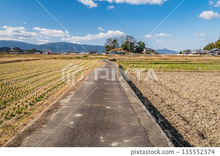 A road running through rice fields in Asuka Village, Nara Prefecture 135552374