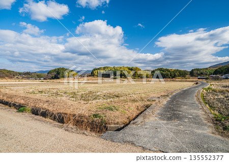 冬季的飛鳥村:奈良縣蕭瑟的鄉村景色 冬季的飛鳥村:奈良縣蕭瑟的鄉村景色 135552377