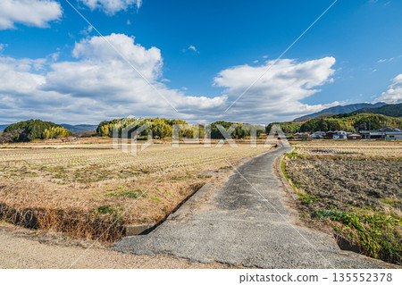 冬季的飛鳥村：奈良縣蕭瑟的鄉村景色 135552378