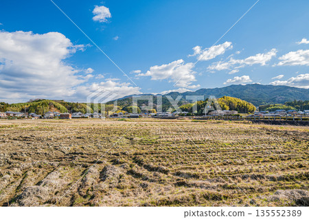 冬季的飛鳥村：奈良縣蕭瑟的鄉村景色 135552389