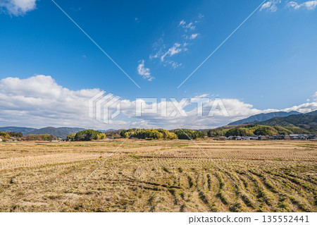 Asuka Village in winter: Bleak rural scenery, Nara Prefecture 135552441