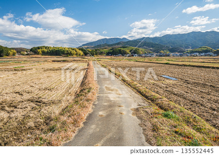 A bleak winter rural landscape: A road running through rice fields, Asuka Village, Nara Prefecture 135552445